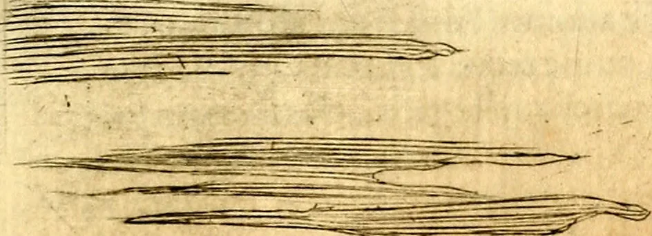 An illustration from Le imagini de i dei de gli antichi : nelle qvali si contengono gl' idoli, i riti, le cerimonie, & altre cose appartenenti alla religione de gli antichi, 1592, leaf 486