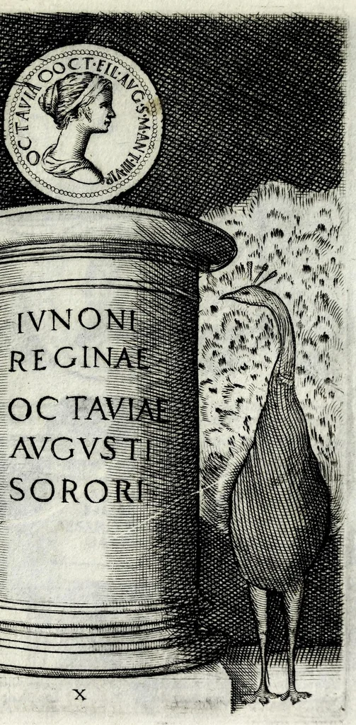 An illustration from Le imagini delle donne avgvste intagliate in istampa di rame : con le vite, et ispositioni di Enea Vico sopra i riversi delle loro medaglie antiche, 1600, leaf 27