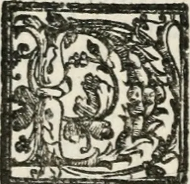 An illustration from Le imprese illustri : con espositioni et discorsi del Sor Ieronimo Ruscelli : al serenissimo et sempre felicissimo re Catolico Filippo D'Austaria : con la giunta di altre imprese tutto riordinato et corretto da Fran.co Patritio, 1572, leaf 141