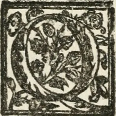 An illustration from Le imprese illustri : con espositioni et discorsi del Sor Ieronimo Ruscelli : al serenissimo et sempre felicissimo re Catolico Filippo D'Austaria : con la giunta di altre imprese tutto riordinato et corretto da Fran.co Patritio, 1572, leaf 149