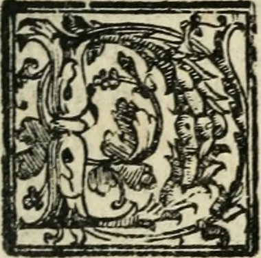 An illustration from Le imprese illustri : con espositioni et discorsi del Sor Ieronimo Ruscelli : al serenissimo et sempre felicissimo re Catolico Filippo D'Austaria : con la giunta di altre imprese tutto riordinato et corretto da Fran.co Patritio, 1572, leaf 20