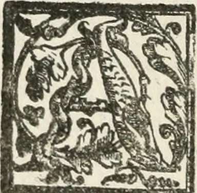 An illustration from Le imprese illustri : con espositioni et discorsi del Sor Ieronimo Ruscelli : al serenissimo et sempre felicissimo re Catolico Filippo D'Austaria : con la giunta di altre imprese tutto riordinato et corretto da Fran.co Patritio, 1572, leaf 219