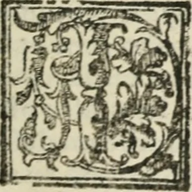 An illustration from Le imprese illustri : con espositioni et discorsi del Sor Ieronimo Ruscelli : al serenissimo et sempre felicissimo re Catolico Filippo D'Austaria : con la giunta di altre imprese tutto riordinato et corretto da Fran.co Patritio, 1572, leaf 238
