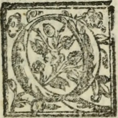 An illustration from Le imprese illustri : con espositioni et discorsi del Sor Ieronimo Ruscelli : al serenissimo et sempre felicissimo re Catolico Filippo D'Austaria : con la giunta di altre imprese tutto riordinato et corretto da Fran.co Patritio, 1572, leaf 278