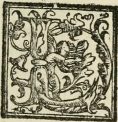 An illustration from Le imprese illustri : con espositioni et discorsi del Sor Ieronimo Ruscelli : al serenissimo et sempre felicissimo re Catolico Filippo D'Austaria : con la giunta di altre imprese tutto riordinato et corretto da Fran.co Patritio, 1572, leaf 308