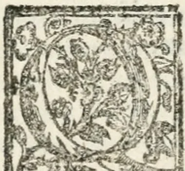 An illustration from Le imprese illustri : con espositioni et discorsi del Sor Ieronimo Ruscelli : al serenissimo et sempre felicissimo re Catolico Filippo D'Austaria : con la giunta di altre imprese tutto riordinato et corretto da Fran.co Patritio, 1572, leaf 311