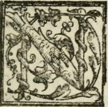 An illustration from Le imprese illustri : con espositioni et discorsi del Sor Ieronimo Ruscelli : al serenissimo et sempre felicissimo re Catolico Filippo D'Austaria : con la giunta di altre imprese tutto riordinato et corretto da Fran.co Patritio, 1572, leaf 314