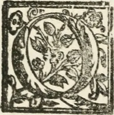 An illustration from Le imprese illustri : con espositioni et discorsi del Sor Ieronimo Ruscelli : al serenissimo et sempre felicissimo re Catolico Filippo D'Austaria : con la giunta di altre imprese tutto riordinato et corretto da Fran.co Patritio, 1572, leaf 341