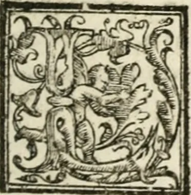 An illustration from Le imprese illustri : con espositioni et discorsi del Sor Ieronimo Ruscelli : al serenissimo et sempre felicissimo re Catolico Filippo D'Austaria : con la giunta di altre imprese tutto riordinato et corretto da Fran.co Patritio, 1572, leaf 362