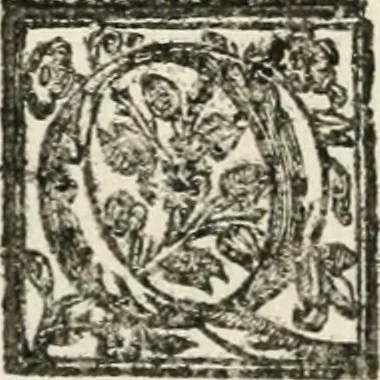 An illustration from Le imprese illustri : con espositioni et discorsi del Sor Ieronimo Ruscelli : al serenissimo et sempre felicissimo re Catolico Filippo D'Austaria : con la giunta di altre imprese tutto riordinato et corretto da Fran.co Patritio, 1572, leaf 367