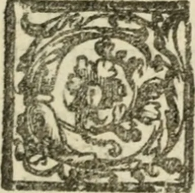An illustration from Le imprese illustri : con espositioni et discorsi del Sor Ieronimo Ruscelli : al serenissimo et sempre felicissimo re Catolico Filippo D'Austaria : con la giunta di altre imprese tutto riordinato et corretto da Fran.co Patritio, 1572, leaf 492