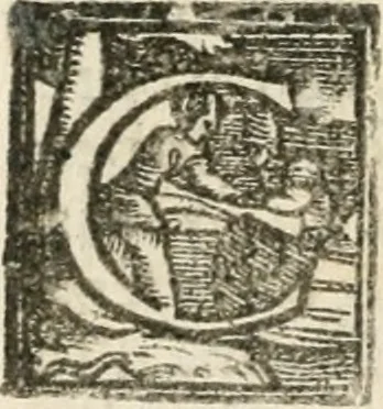 An illustration from Le imprese illustri : con espositioni et discorsi del Sor Ieronimo Ruscelli : al serenissimo et sempre felicissimo re Catolico Filippo D'Austaria : con la giunta di altre imprese tutto riordinato et corretto da Fran.co Patritio, 1572, leaf 495