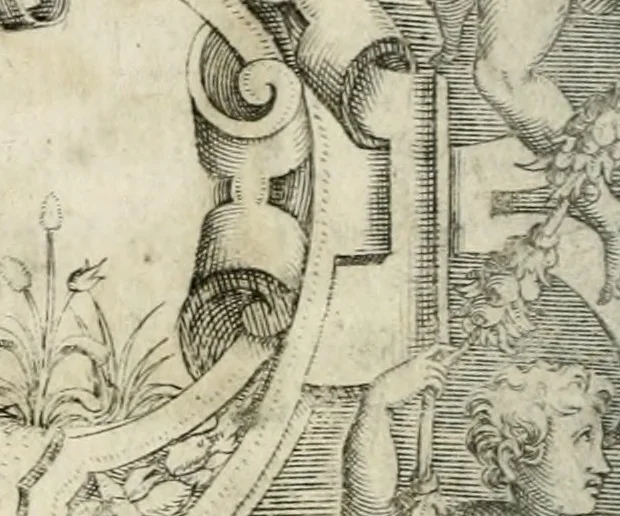 An illustration from Le imprese illustri : con espositioni et discorsi del Sor Ieronimo Ruscelli : al serenissimo et sempre felicissimo re Catolico Filippo D'Austaria : con la giunta di altre imprese tutto riordinato et corretto da Fran.co Patritio, 1572, leaf 507