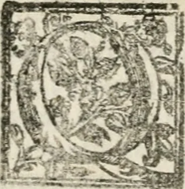 An illustration from Le imprese illustri : con espositioni et discorsi del Sor Ieronimo Ruscelli : al serenissimo et sempre felicissimo re Catolico Filippo D'Austaria : con la giunta di altre imprese tutto riordinato et corretto da Fran.co Patritio, 1572, leaf 579