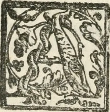 An illustration from Le imprese illustri : con espositioni et discorsi del Sor Ieronimo Ruscelli : al serenissimo et sempre felicissimo re Catolico Filippo D'Austaria : con la giunta di altre imprese tutto riordinato et corretto da Fran.co Patritio, 1572, leaf 585