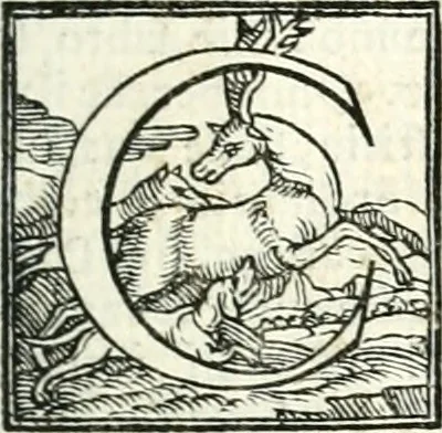 An illustration from Le imprese illustri, 1566, leaf 118