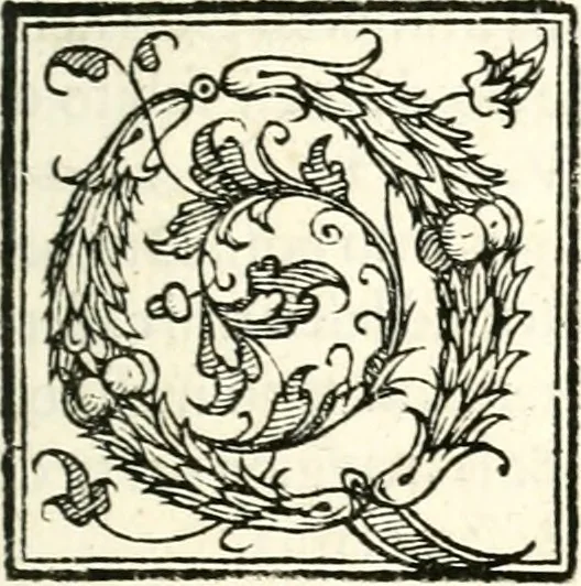 An illustration from Le imprese illustri, 1566, leaf 12