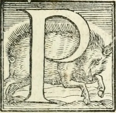 An illustration from Le imprese illustri, 1566, leaf 174
