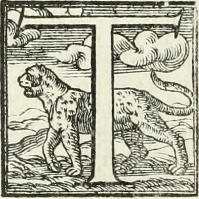An illustration from Le imprese illustri, 1566, leaf 223