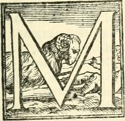 An illustration from Le imprese illustri, 1566, leaf 244