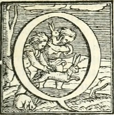 An illustration from Le imprese illustri, 1566, leaf 278