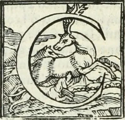 An illustration from Le imprese illustri, 1566, leaf 39