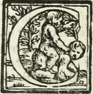 An illustration from Le imprese illustri, 1566, leaf 41