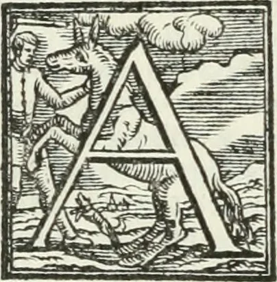 An illustration from Le imprese illustri, 1566, leaf 477