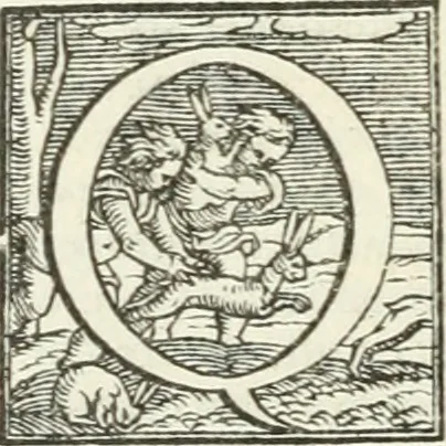 An illustration from Le imprese illustri, 1566, leaf 481