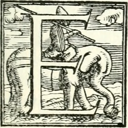 An illustration from Le imprese illustri, 1566, leaf 502