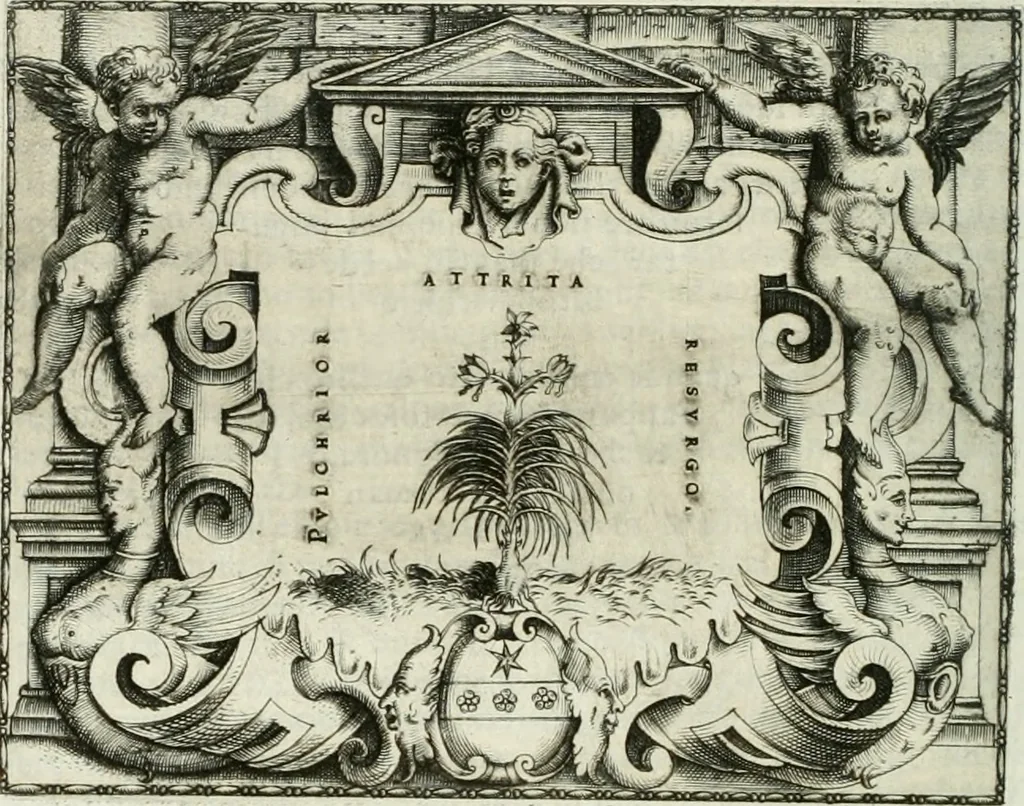 An illustration from Le imprese illustri, 1566, leaf 525