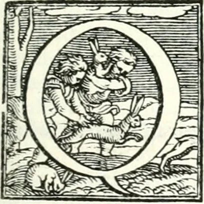 An illustration from Le imprese illustri, 1566, leaf 528