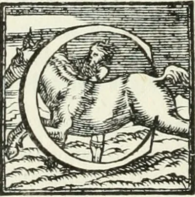 An illustration from Le imprese illustri, 1566, leaf 537