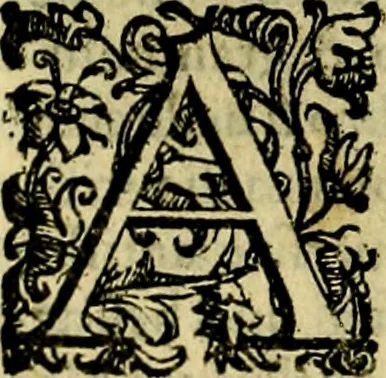 An illustration from Le imprese illustri del S.or Ieronimo Ruscelli., 1584, leaf 117