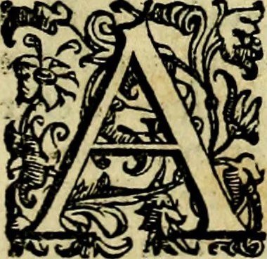 An illustration from Le imprese illustri del S.or Ieronimo Ruscelli., 1584, leaf 142