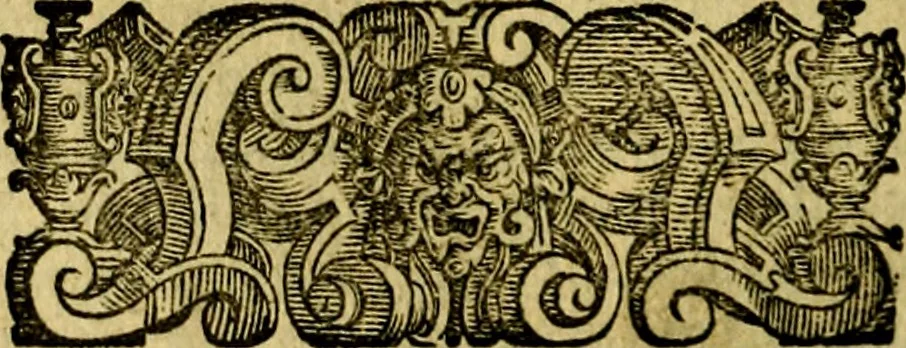 An illustration from Le imprese illustri del S.or Ieronimo Ruscelli., 1584, leaf 151