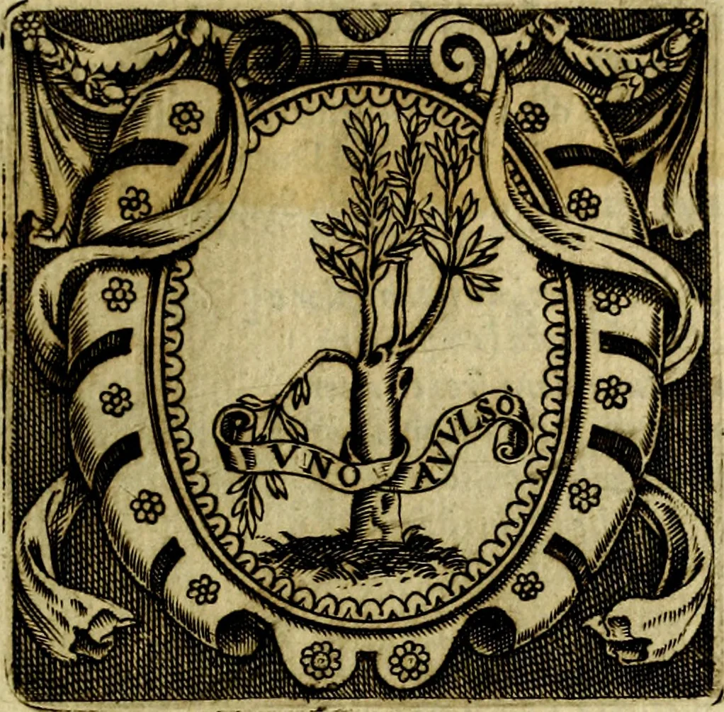 An illustration from Le imprese illustri del S.or Ieronimo Ruscelli., 1584, leaf 154