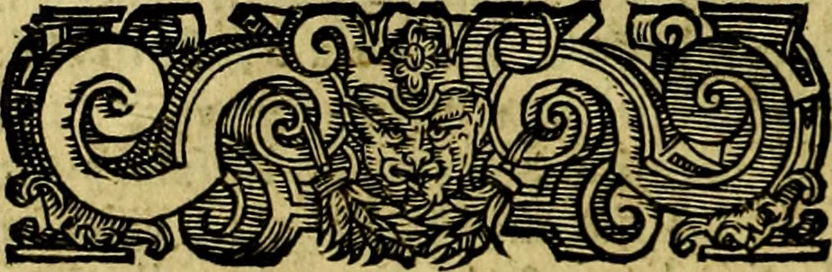 An illustration from Le imprese illustri del S.or Ieronimo Ruscelli., 1584, leaf 155