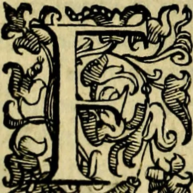 An illustration from Le imprese illustri del S.or Ieronimo Ruscelli., 1584, leaf 179