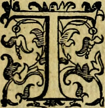 An illustration from Le imprese illustri del S.or Ieronimo Ruscelli., 1584, leaf 182