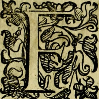 An illustration from Le imprese illustri del S.or Ieronimo Ruscelli., 1584, leaf 193