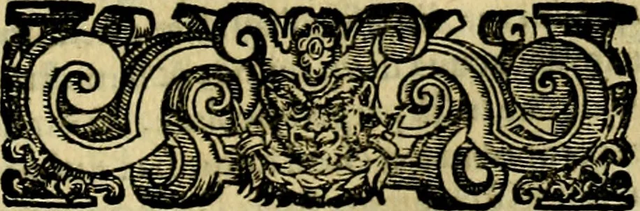 An illustration from Le imprese illustri del S.or Ieronimo Ruscelli., 1584, leaf 194