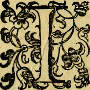 An illustration from Le imprese illustri del S.or Ieronimo Ruscelli., 1584, leaf 195