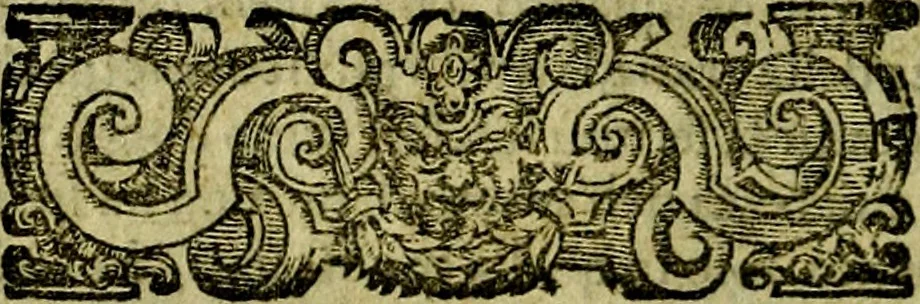 An illustration from Le imprese illustri del S.or Ieronimo Ruscelli., 1584, leaf 197