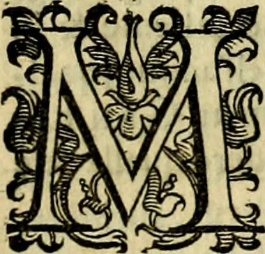 An illustration from Le imprese illustri del S.or Ieronimo Ruscelli., 1584, leaf 198