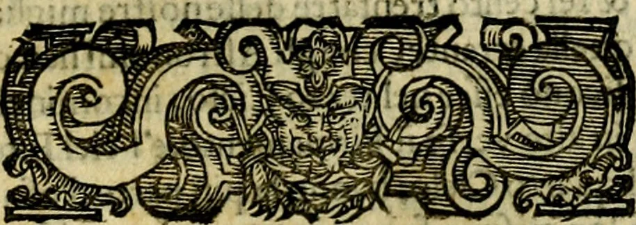 An illustration from Le imprese illustri del S.or Ieronimo Ruscelli., 1584, leaf 202