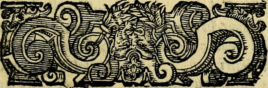 An illustration from Le imprese illustri del S.or Ieronimo Ruscelli., 1584, leaf 206