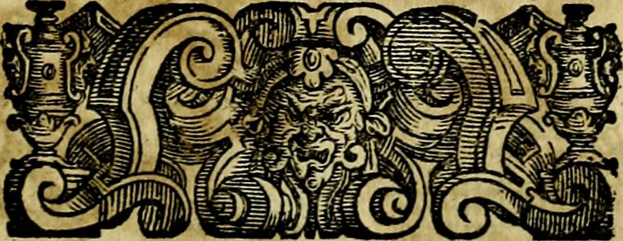 An illustration from Le imprese illustri del S.or Ieronimo Ruscelli., 1584, leaf 208
