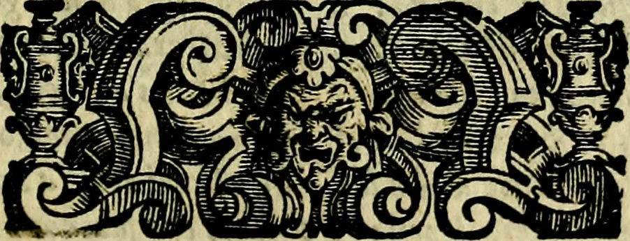 An illustration from Le imprese illustri del S.or Ieronimo Ruscelli., 1584, leaf 212