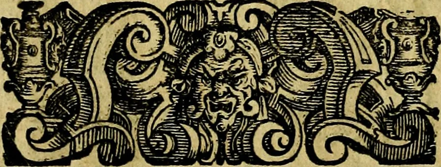 An illustration from Le imprese illustri del S.or Ieronimo Ruscelli., 1584, leaf 214